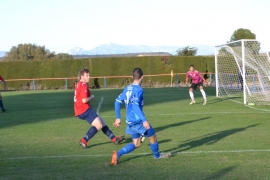 DSC_0036 (FILEminimizer)